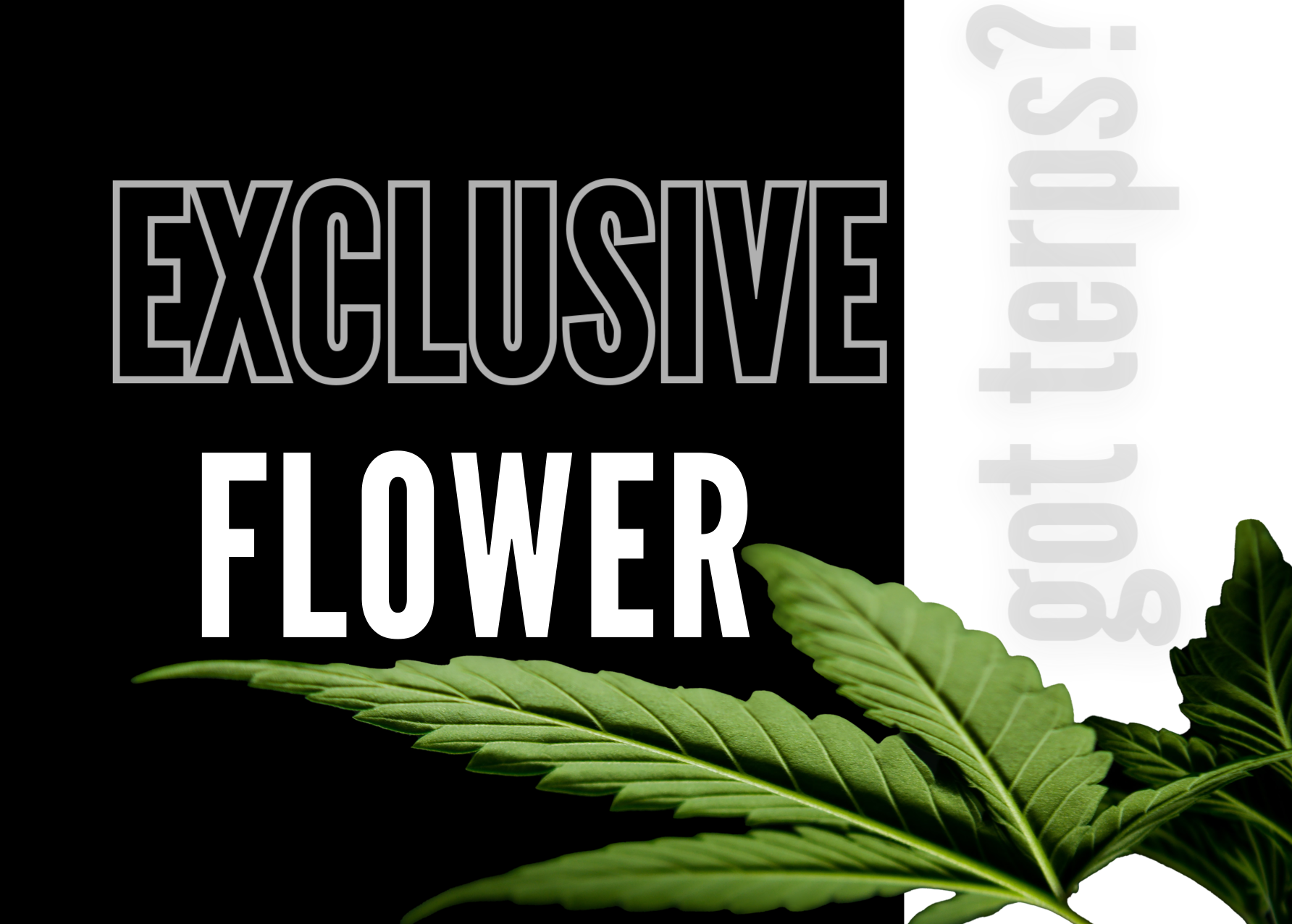 Exclusive Half Oz(14g)