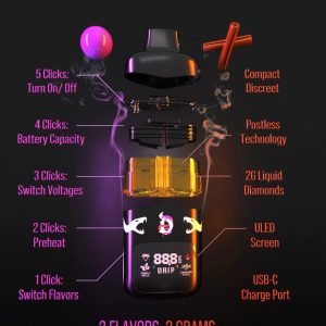 2g Dual Flavor Disposable