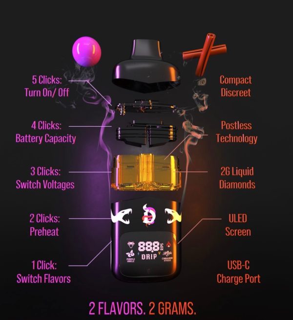 2g Dual Flavor Disposable